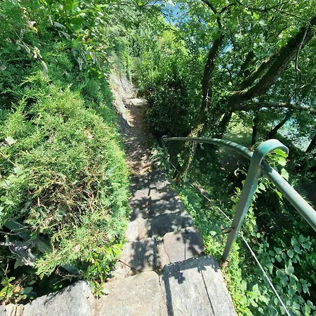 Bella Vista